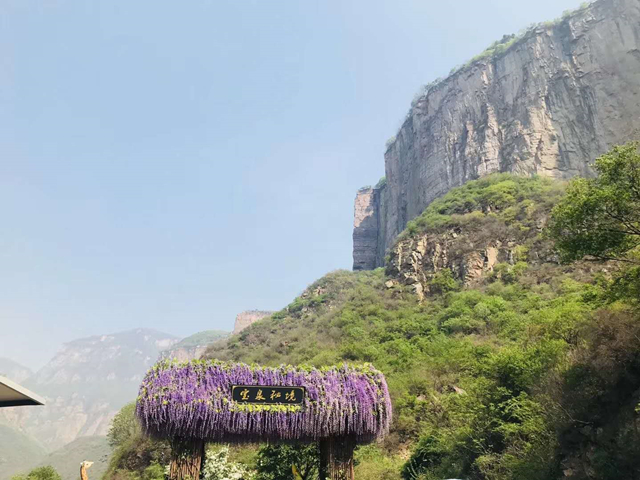 微信圖片_20190505162406.jpg